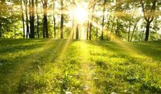 Sabah ölkəmizdə mülayim hava şəraiti davam edəcək