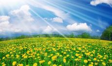 Sabah isti hava  şəraiti davam edəcək