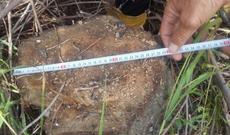 Kürdəmirdə təbiətə 2230 manat məbləğində ziyan vurulub