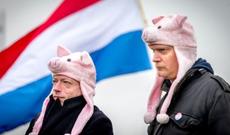 Orucluqda məscid qarşısında donuz əti...