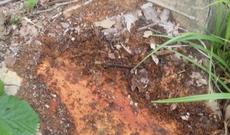 Sabah hava buludlu olacaq, bəzi yerlərdə yağış yağacaq