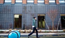 Sahibinin arxasınca gedən robot-çamadan təqdim edildi