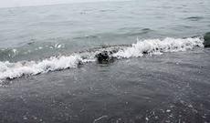 Bəzi çimərliklər  qorxulu xəstəliklər mənbəyidir