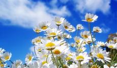 Sabah Azərbaycan ərazisində 28-30 dərəcə isti gözlənilir