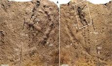 Planetin ən qədim izləri tapıldı