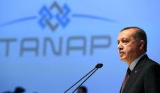 TANAP-ın açılışını Türkiyə prezidenti Rəcəb Tayyib Ərdoğan edəcək