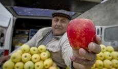 Azərbaycanın Avropa bazarı problemi –sertifikat  30 min avrodur