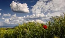 Sabah respublikamızın ərazisində hava yağıntılı olacaq