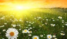 Sabah Azərbaycan ərazisində 37-40 dərəcə isti gözlənilir