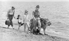 Evində şir saxlayan məşhur bakılı qadın vəfat etdi