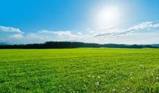 Sabah Azərbaycan ərazisində 31-33 dərəcə isti gözlənilir