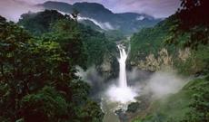 Dünyanın ən tənha adamı — 22 ildir meşədə yaşayır