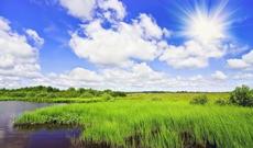 Respublikamızın ərazisində istilər davam edəcək