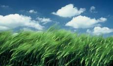 ETSN-dən xəbərdarlıq: Hava şəraiti kəskin dəyişəcək