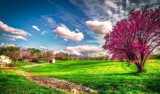 Sabah respublikamızın ərazisində isti hava şəraiti davam edəcək