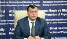 Dövlət Məşğulluq Xidmətinin qabaqcıl Avropa təcrübəsi əsasında yeni xidmət modeli yaradılır