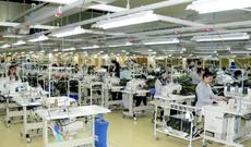 Əmək bazarı üzrə Milli Observatoriya yaradılacaq