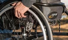 Azərbaycanda təqaüd alan müharibə əlillərinin sayı  artıb