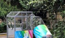 Plastik tullantıların düzgün idarə olunmasını yoxlamaq məqsədilə reydlər keçirilib