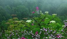 Sabah Bakıda 28-30 dərəcə isti, rayonlarda yağış  gözlənilir