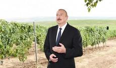 Hər doğulan uşaq üçün gələcəkdə  iş yeri olmalıdır