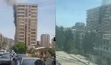 Qanunsuz yolla əldə olunmuş meşə materialı aşkar edilib