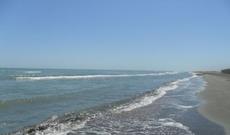 Xəzər dənizinin sahil zolağında reydlər davam etdirilir