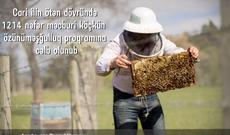 Bu il 2158  məcburi köçkün işlə təmin edilib