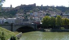 “Gürcüstan müsəlmanları ölkədə marixuana yetişdirilməsini qəbuledilməz sayırlar”