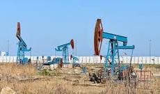 Azərbaycan neftinin qiyməti 82 dolları ötüb