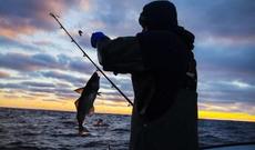 İcazəsiz balıq ovlayan şəxs saxlanılıb