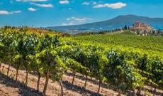 Azərbaycanın dövlət məmuru Fransada hektarlarla torpaq alıb