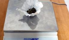 Narkotik vasitə kinoloji xidmət itinin tətbiqi ilə aşkar edildi