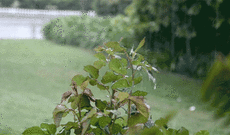 Hava şəraiti kəskin dəyişib