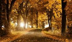 Noyabr ayında havanın temperaturu iqlim normasına yaxın olacaq