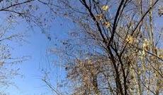 Respublikamızın ərazisində hava soyumaqda davam edəcək