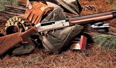 İcazəsiz ova cəhd edən şəxs 1000 manat cərimə edilib