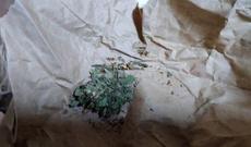 Gürcüstan vətəndaşlarında narkotik vasitələr aşkarlanıb