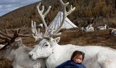 10 min illik türk qəbiləsi-dukhalar