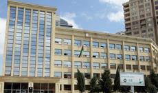 Ağac kəsən 1800 manat cərimə edildi