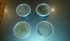 Gömrük nəzarətindən gizlədilmiş mallar aşkar edilib