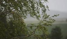 ETSN xəbərdarlıq edir: Anomal hava şəraiti davam edəcək