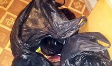 Avtomobildə gizlədilən balıqlar aşkarlandı