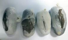 Azərbaycana heroin gətirən əcnəbi vətəndaş saxlanılıb