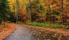 Sabah respublikamızın ərazisində yağış və qar yağacaq