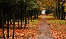 Sabah hava şəraitinin dəyişkən buludlu olacağı gözlənilir