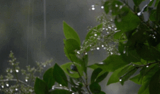 Sabahdan yağışların  kəsiləcəyi gözlənilir