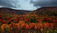 Sabah  hava şəraitinin dəyişkən buludlu olacağı, əsasən yağmursuz keçəcəyi gözlənilir