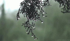 ETSN xəbərdarlıq edir: Hava yenidən soyuyacaq