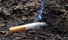 Amerika vətəndaşı Qazaxıstanda 12 min tenge cərimə edilib